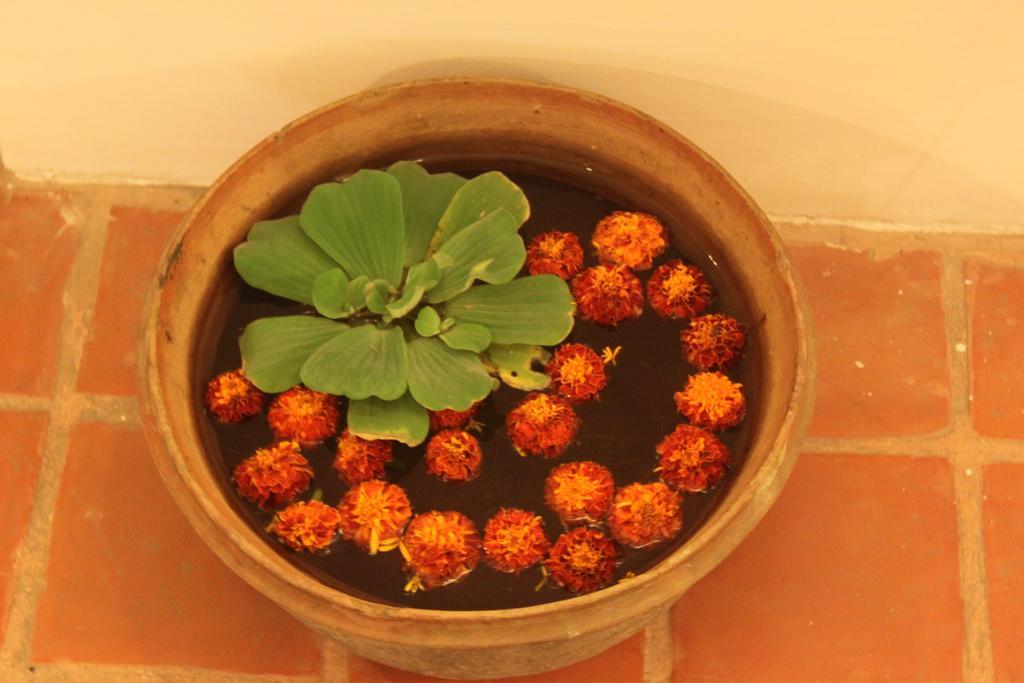The Life Story Guest House Lalitpur Εξωτερικό φωτογραφία